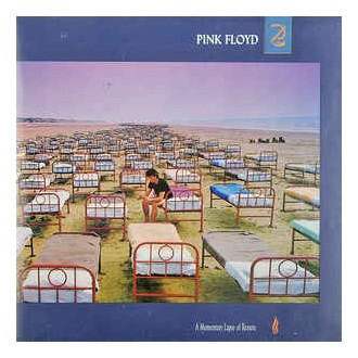 Pink Floyd - The Momentary Lapse Of Reason