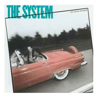 The System ‎– Don't Disturb This Groove
