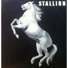 Stallion ‎– Stallion