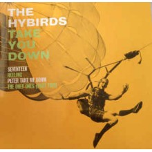 The Hybirds ‎– Take You Down