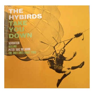 The Hybirds ‎– Take You Down