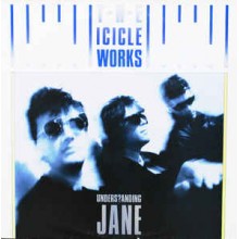 The Icicle Works ‎– Understanding Jane