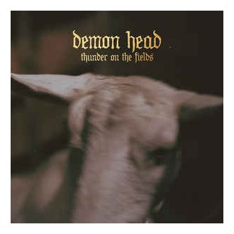 Demon Head ‎– Thunder On The Fields