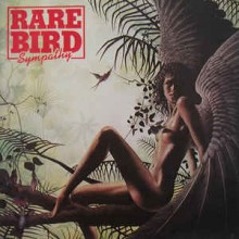Rare Bird ‎– Sympathy